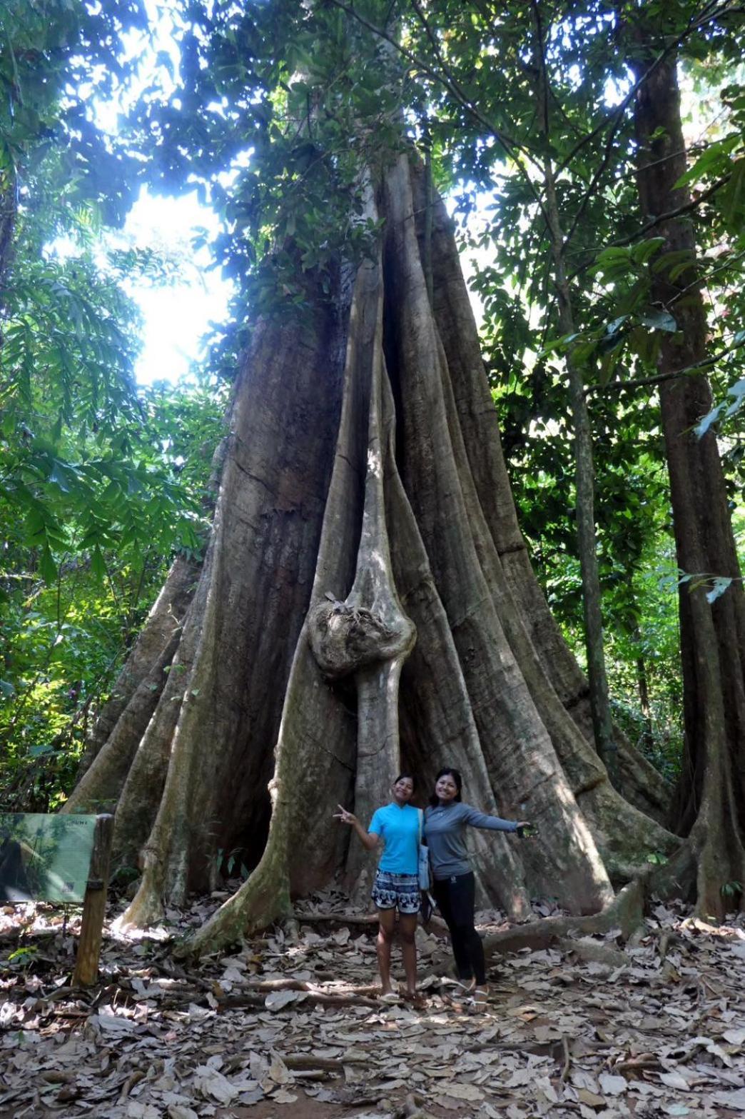 Ban Tha Ton Do Koh Yao Noi Lejlighed Eksteriør billede